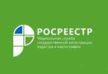 «Прямая телефонная линия» с начальником отдела землеустройства и мониторинга земель, кадастровой оценки недвижимости, геодезии и картографии Управления Росреестра по Алтайскому краю