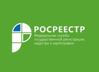 «Прямая телефонная линия» с начальником отдела землеустройства и мониторинга земель, кадастровой оценки недвижимости, геодезии и картографии Управления Росреестра по Алтайскому краю
