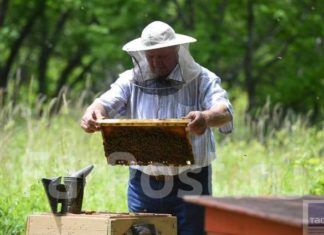 Вопросы взаимодействия пчеловодческих, растениеводческих организаций и органов власти