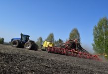 В первом квартале хозяйства Алтайского края получат до 50% господдержки по ряду приоритетных направлений