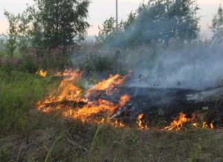 Жителям Алтайского края напоминают: в регионе действует особый противопожарный режим