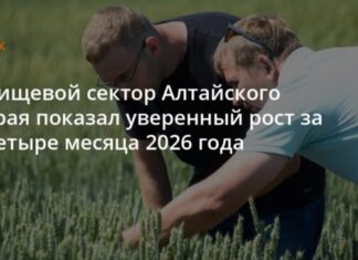 Индекс производства пищевых продуктов в Алтайском крае сохраняет положительную динамику
