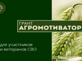 В Алтайском крае идет прием заявок от участников СВО на получение грантов для развития сельхозбизнеса