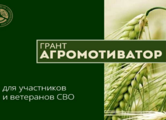 В Алтайском крае идет прием заявок от участников СВО на получение грантов для развития сельхозбизнеса