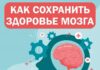 Умственная активность и правильное питание