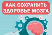 Умственная активность и правильное питание
