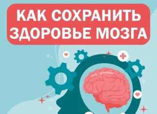 Умственная активность и правильное питание