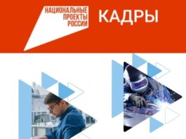 В Алтайском крае участники СВО предпочитают профессиональное развитие в рамках национального проекта